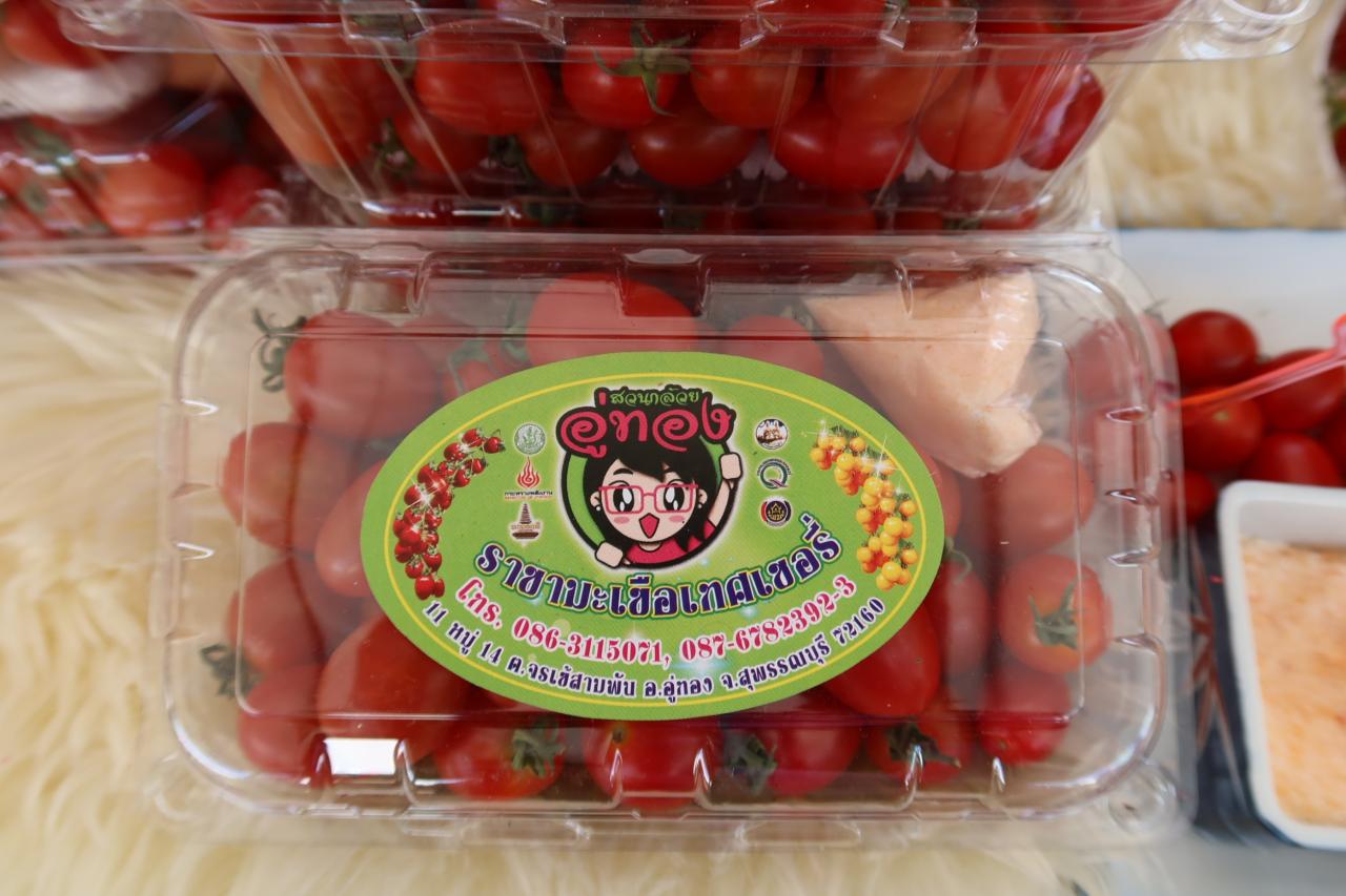 ภาพประกอบที่ 11