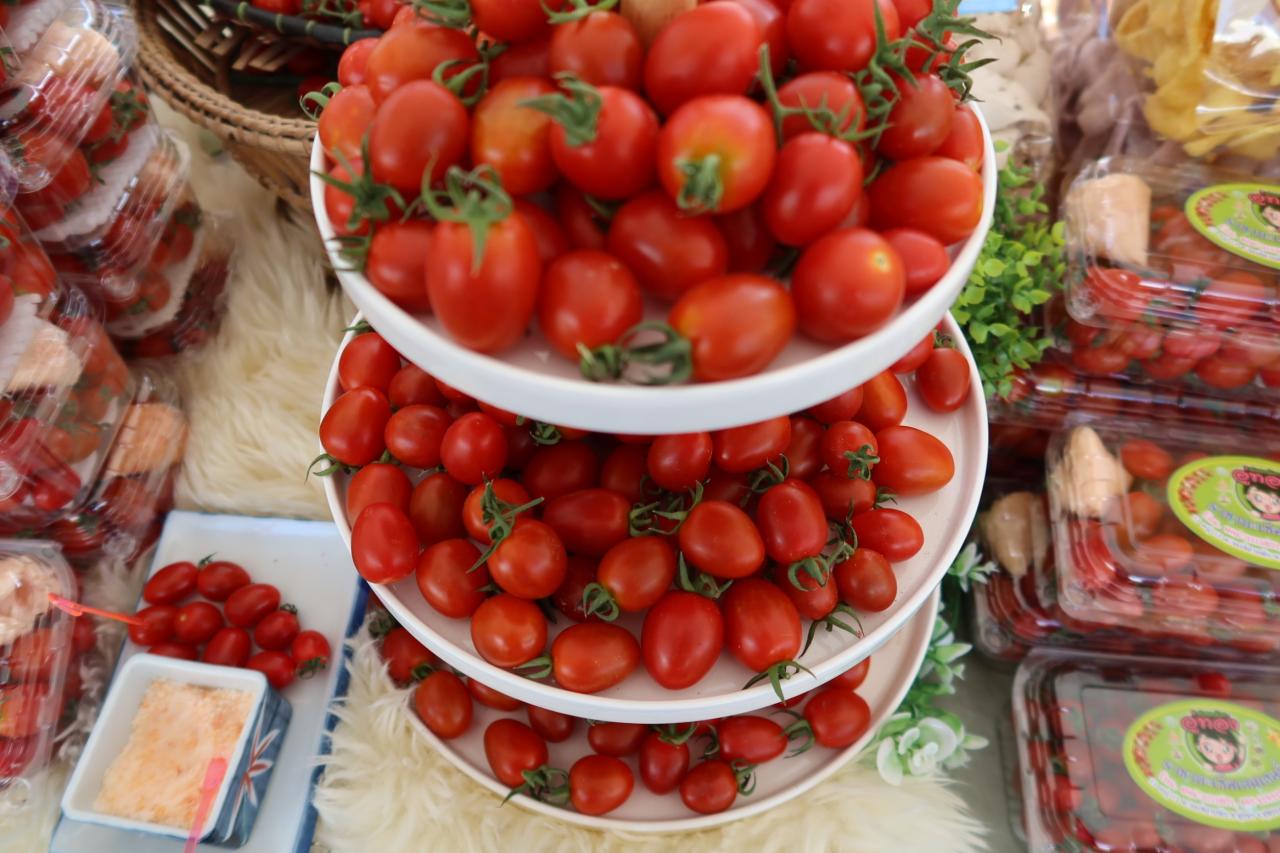 ภาพประกอบที่ 12