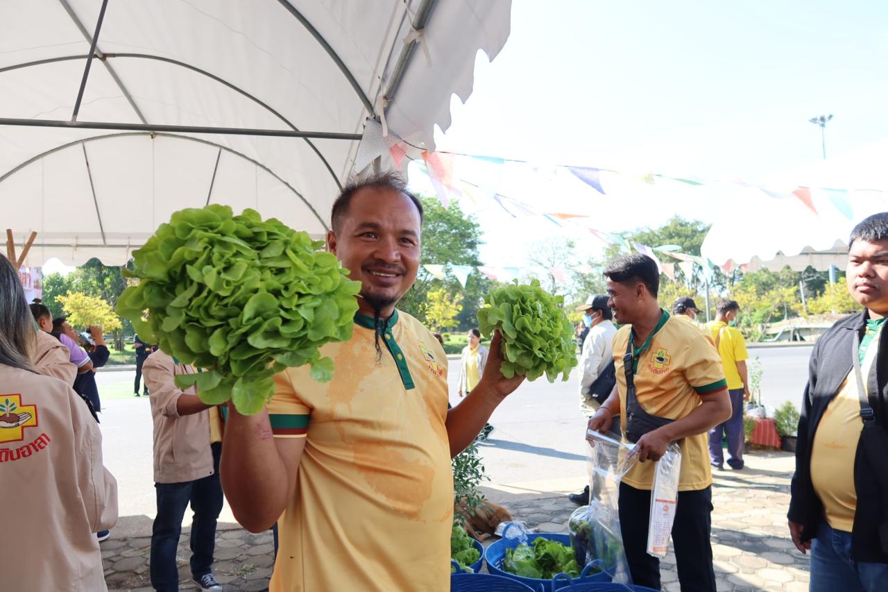 ภาพประกอบที่ 17