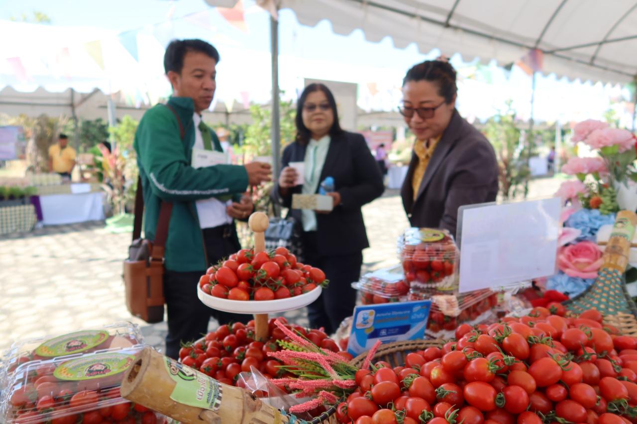 ภาพประกอบที่ 8