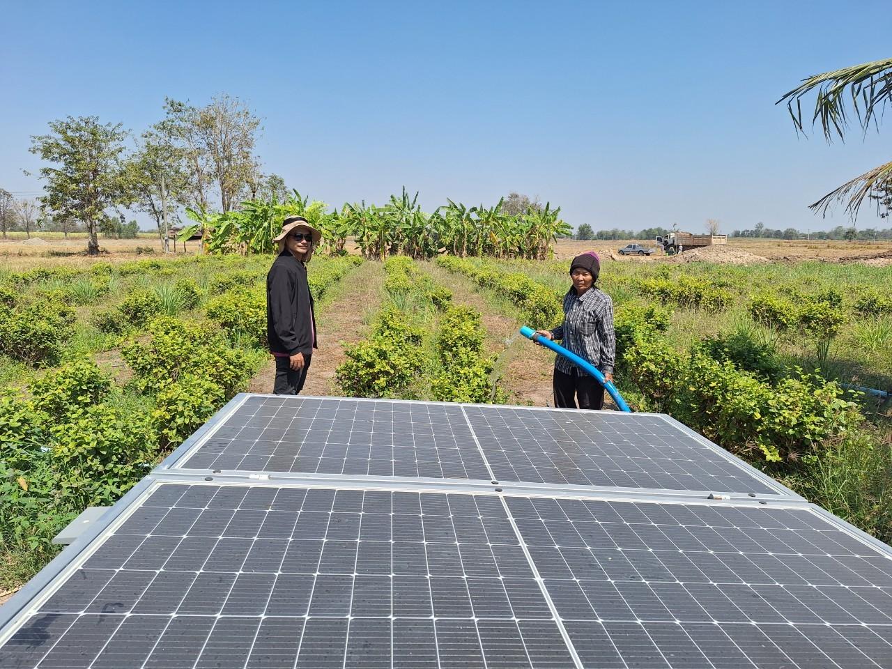 ภาพประกอบที่ 5