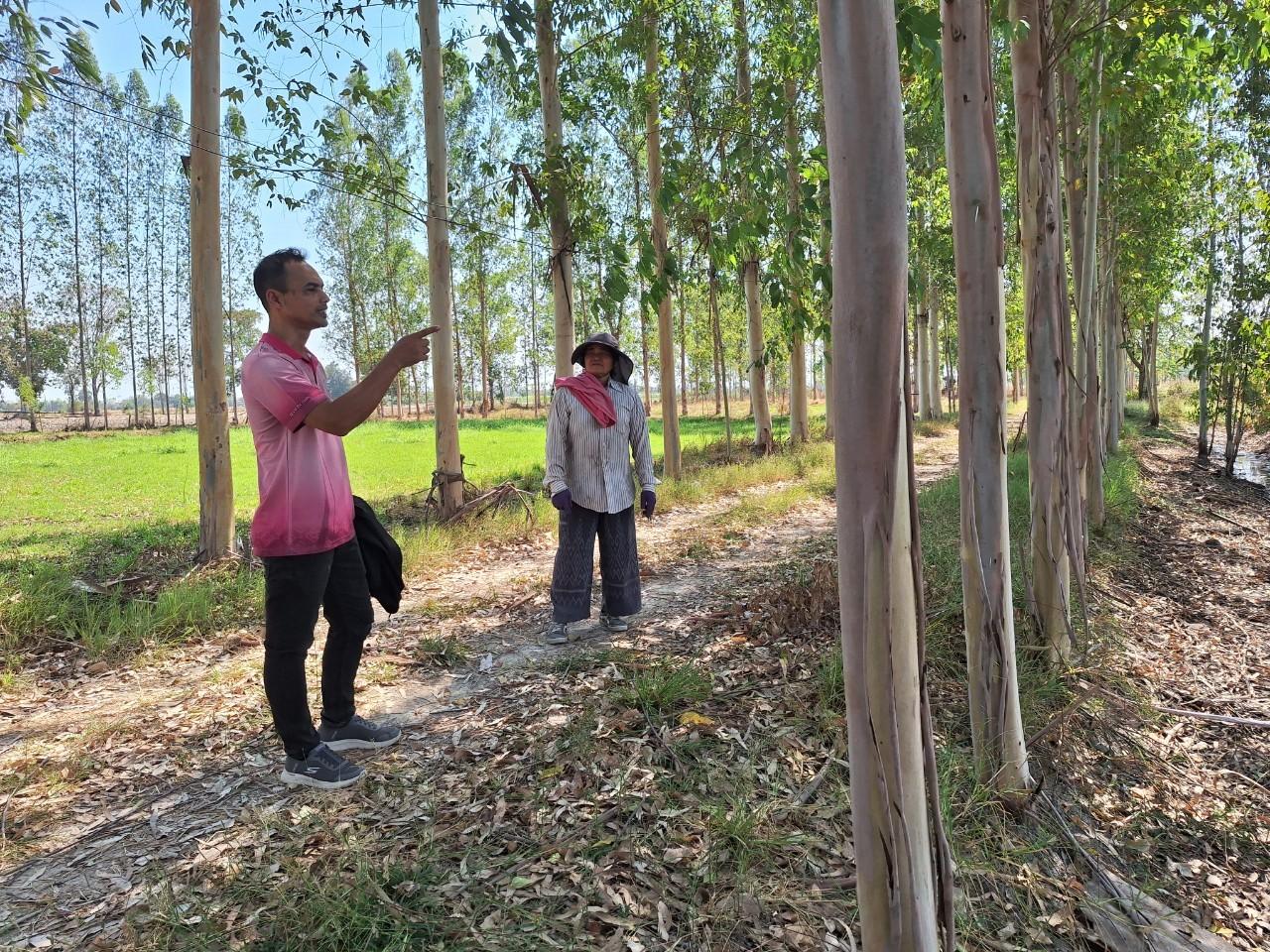 ภาพประกอบที่ 13