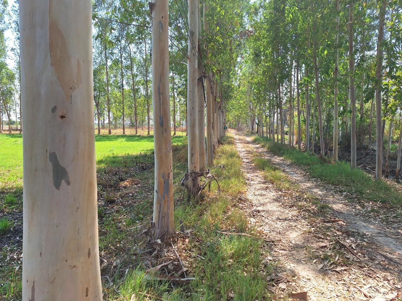 ภาพประกอบที่ 14