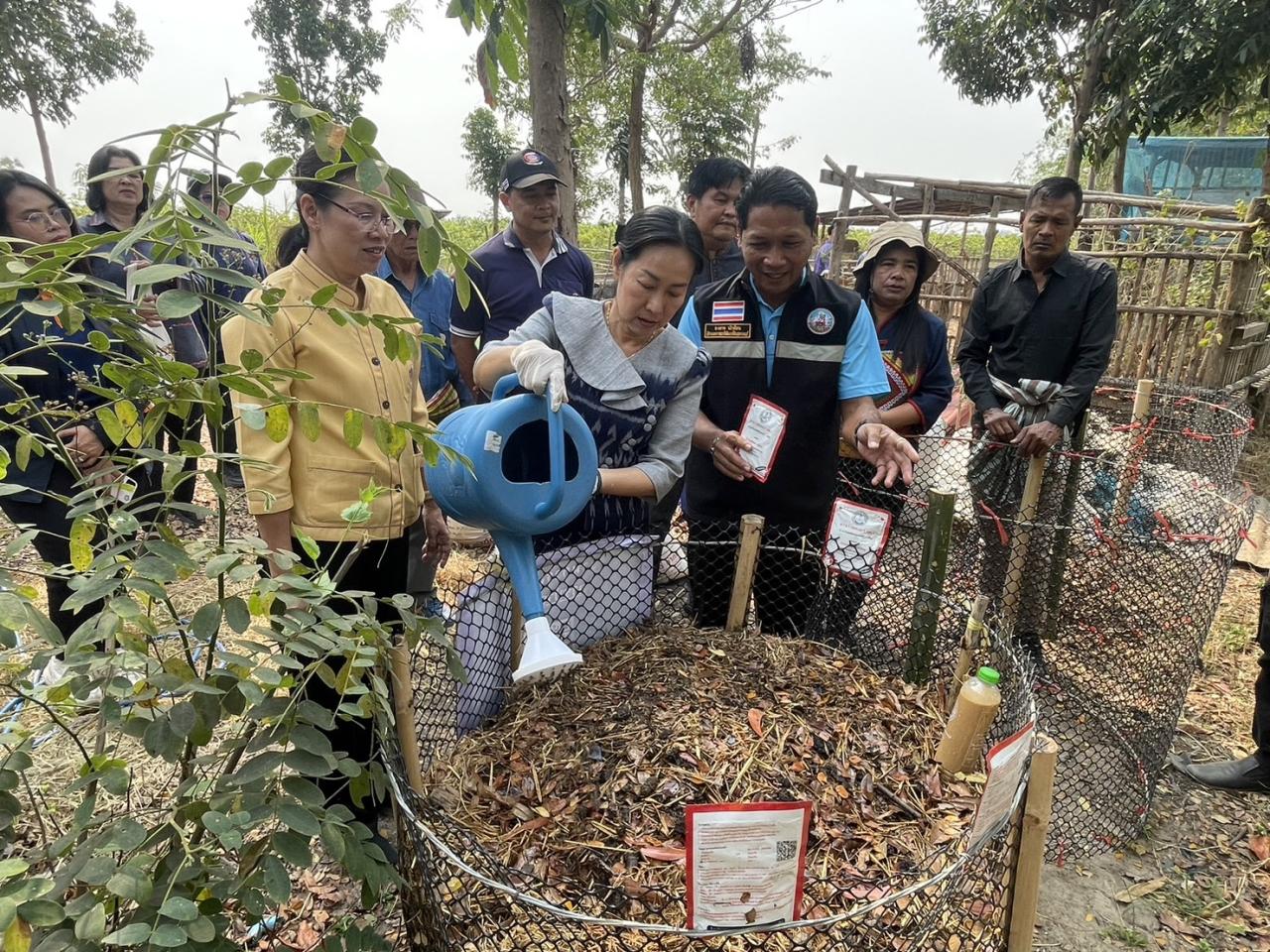 ภาพประกอบที่ 1