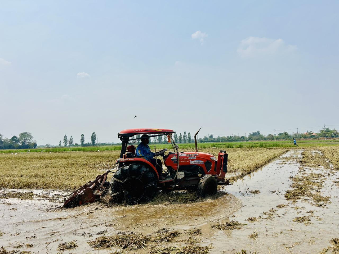 ภาพประกอบที่ 1