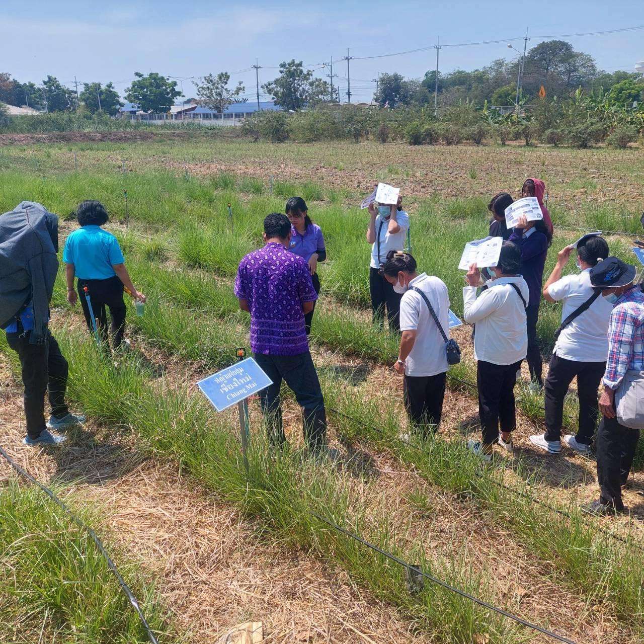 ภาพประกอบที่ 4