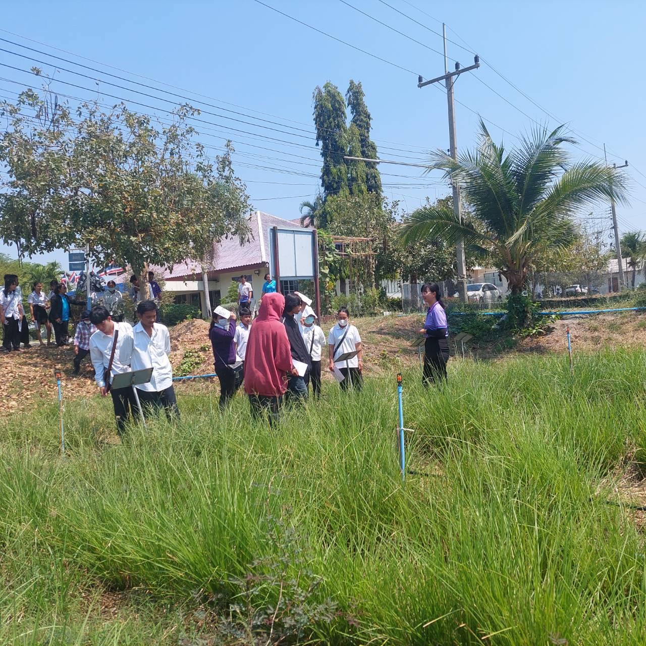 ภาพประกอบที่ 5