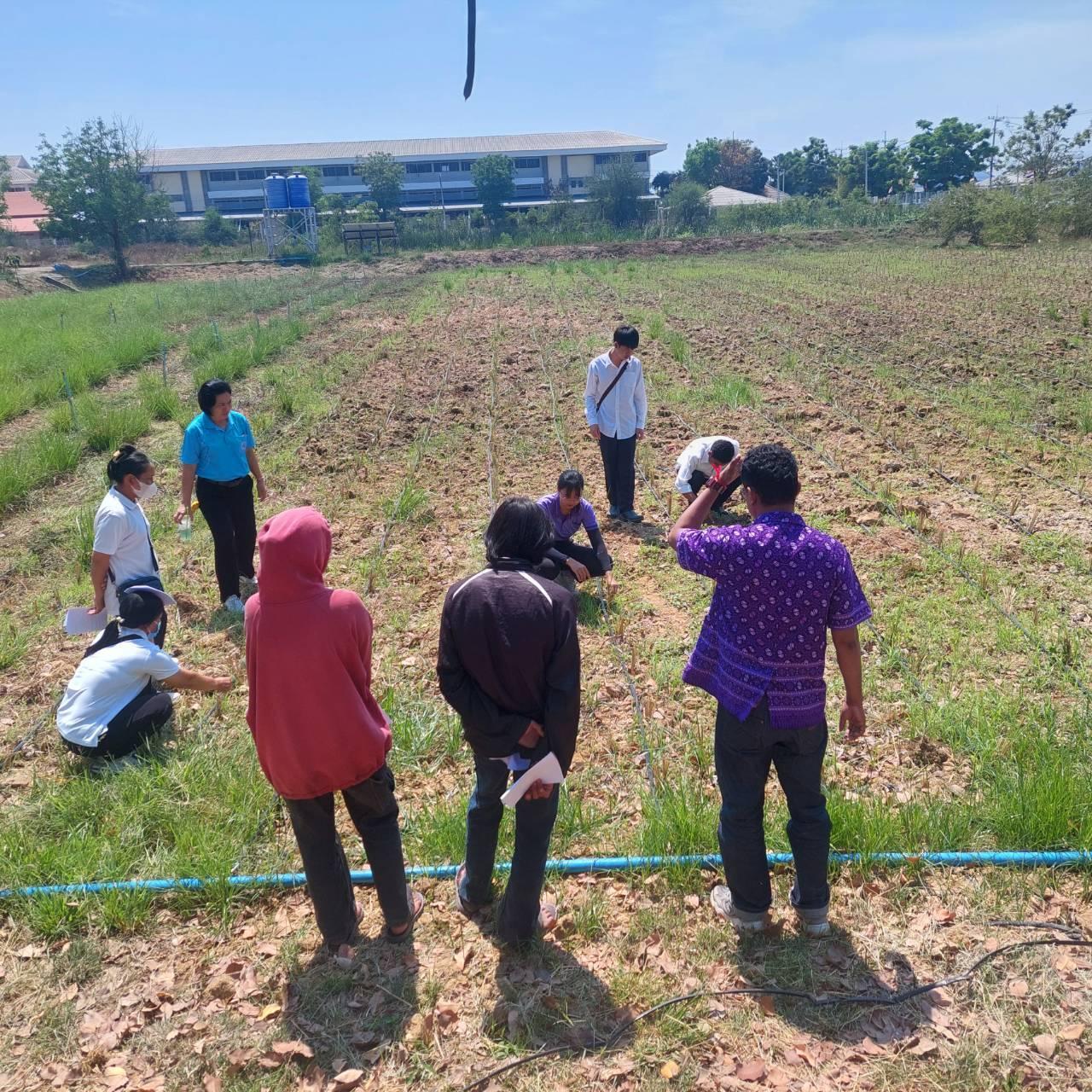 ภาพประกอบที่ 6