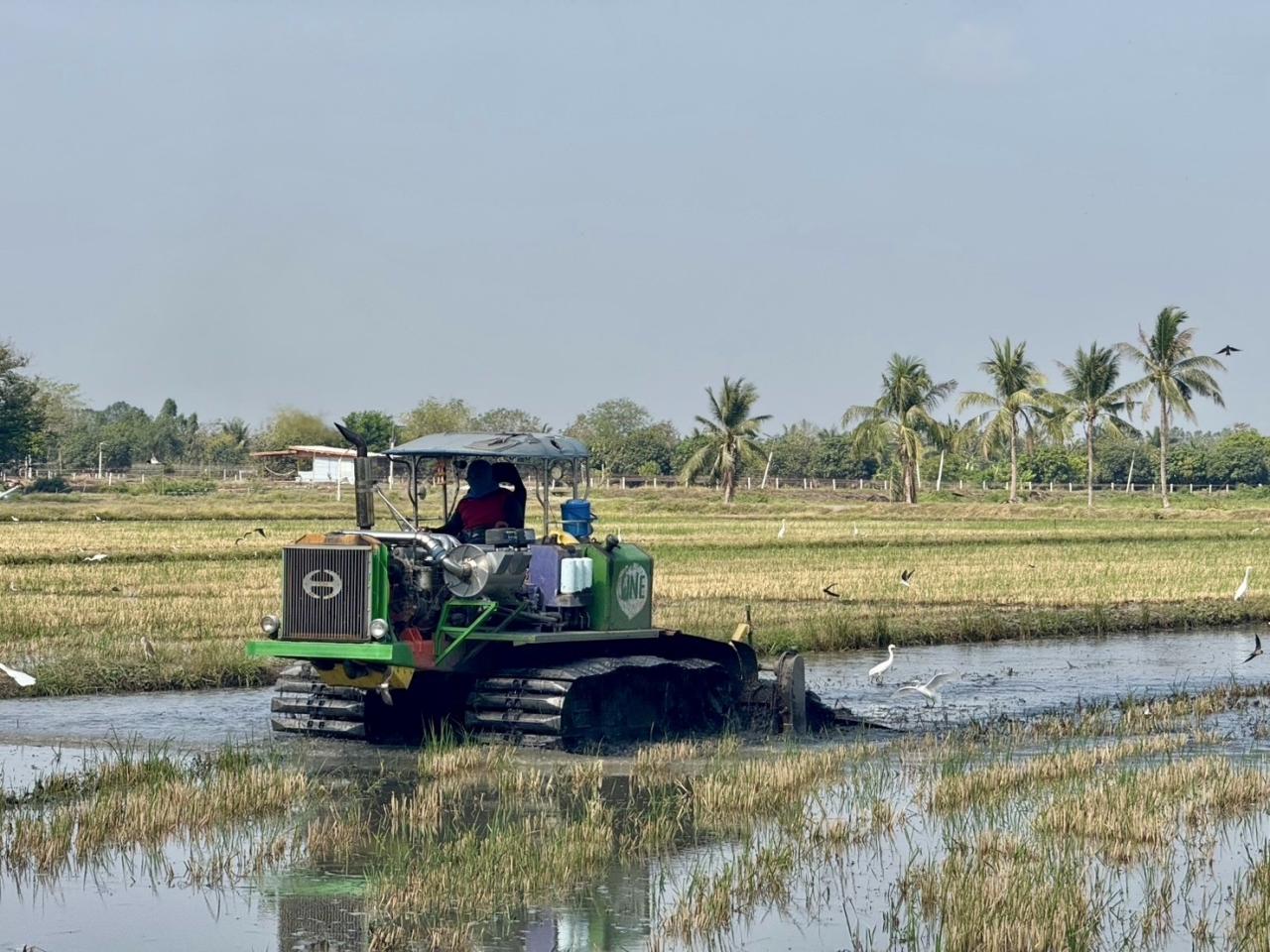 ภาพประกอบที่ 0