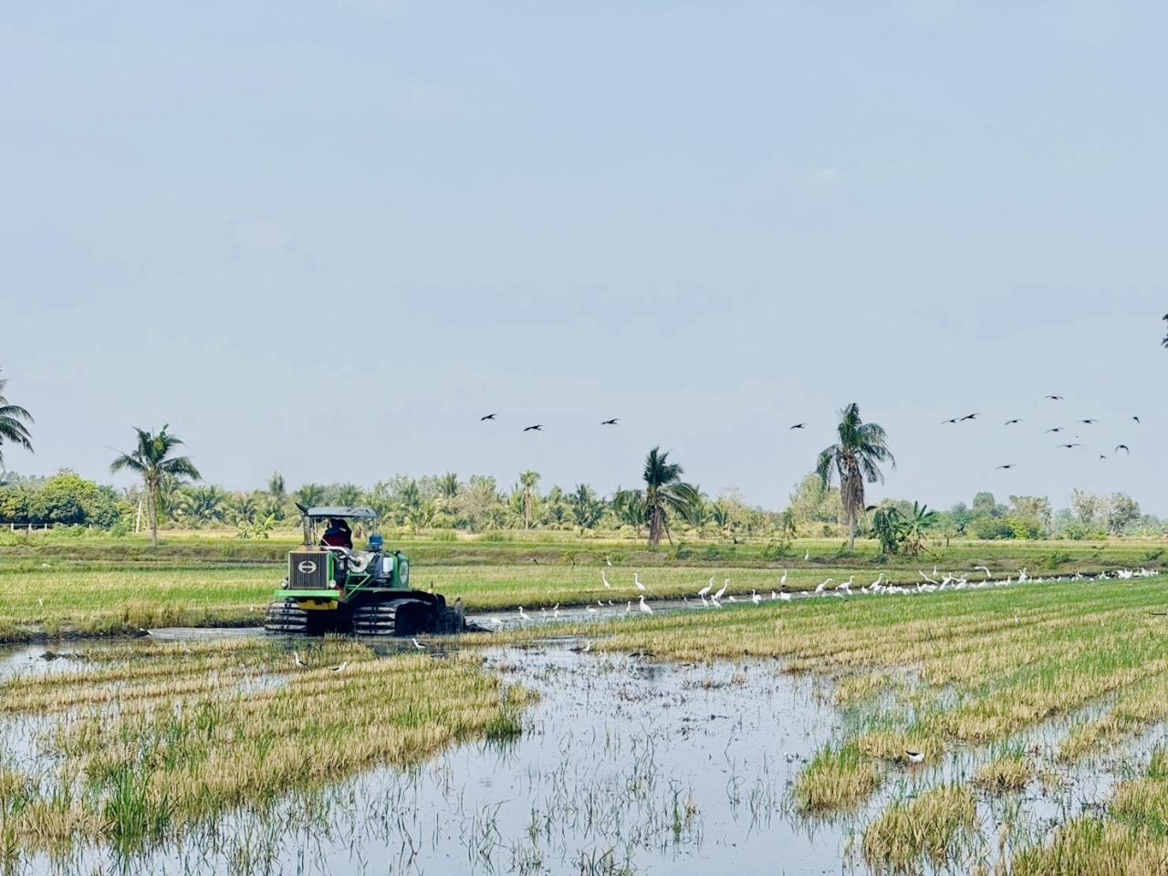 ภาพประกอบที่ 1