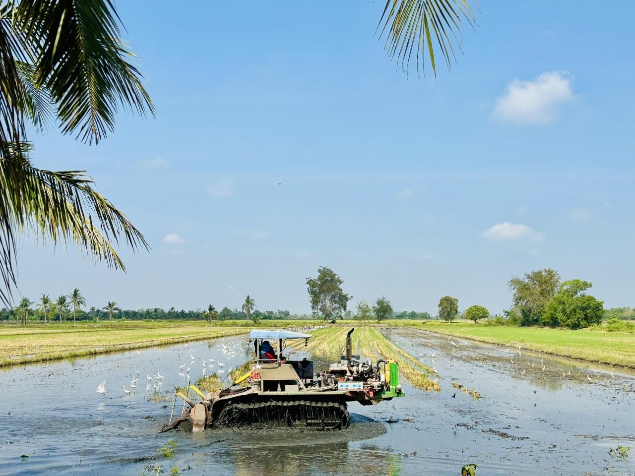 ภาพประกอบที่ 4