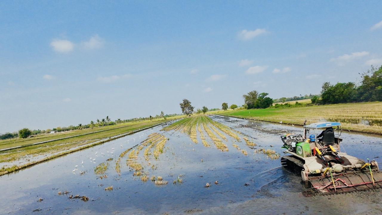 ภาพประกอบที่ 5