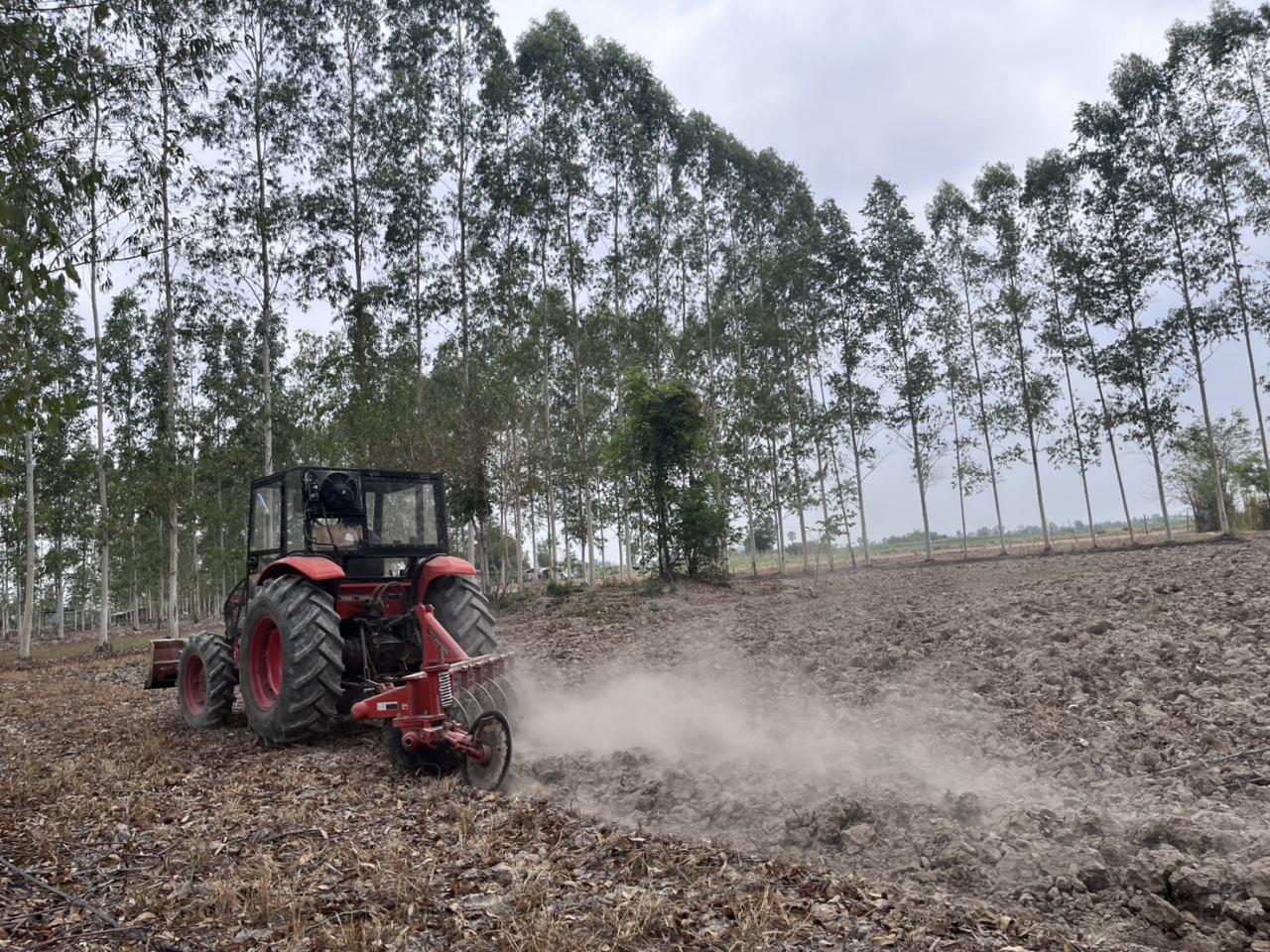 ภาพประกอบที่ 2