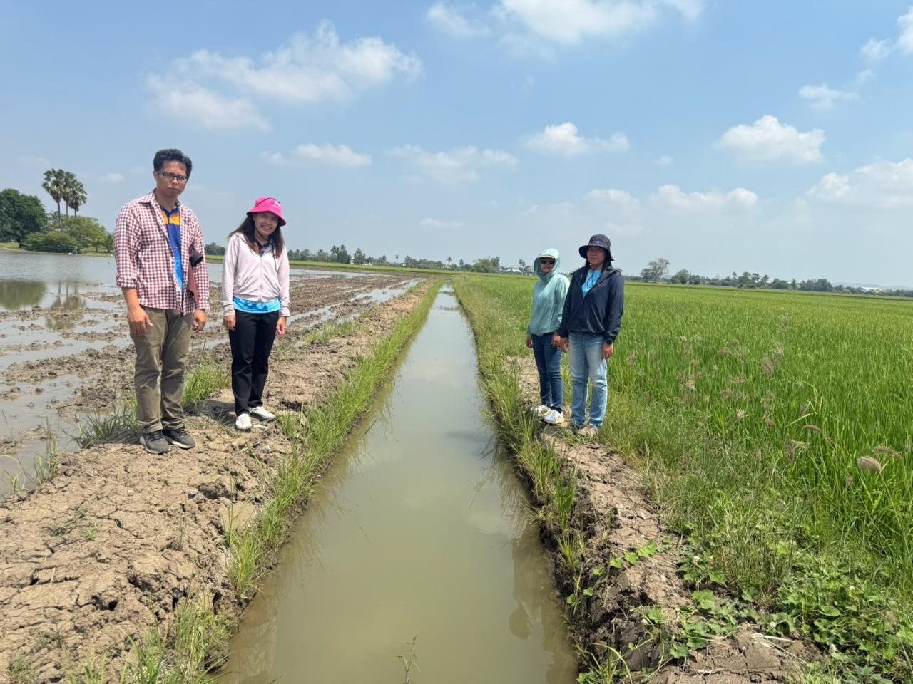 ภาพประกอบที่ 7