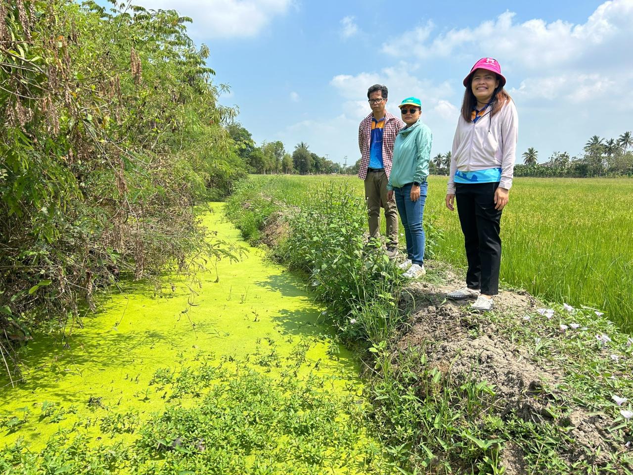 ภาพประกอบที่ 8