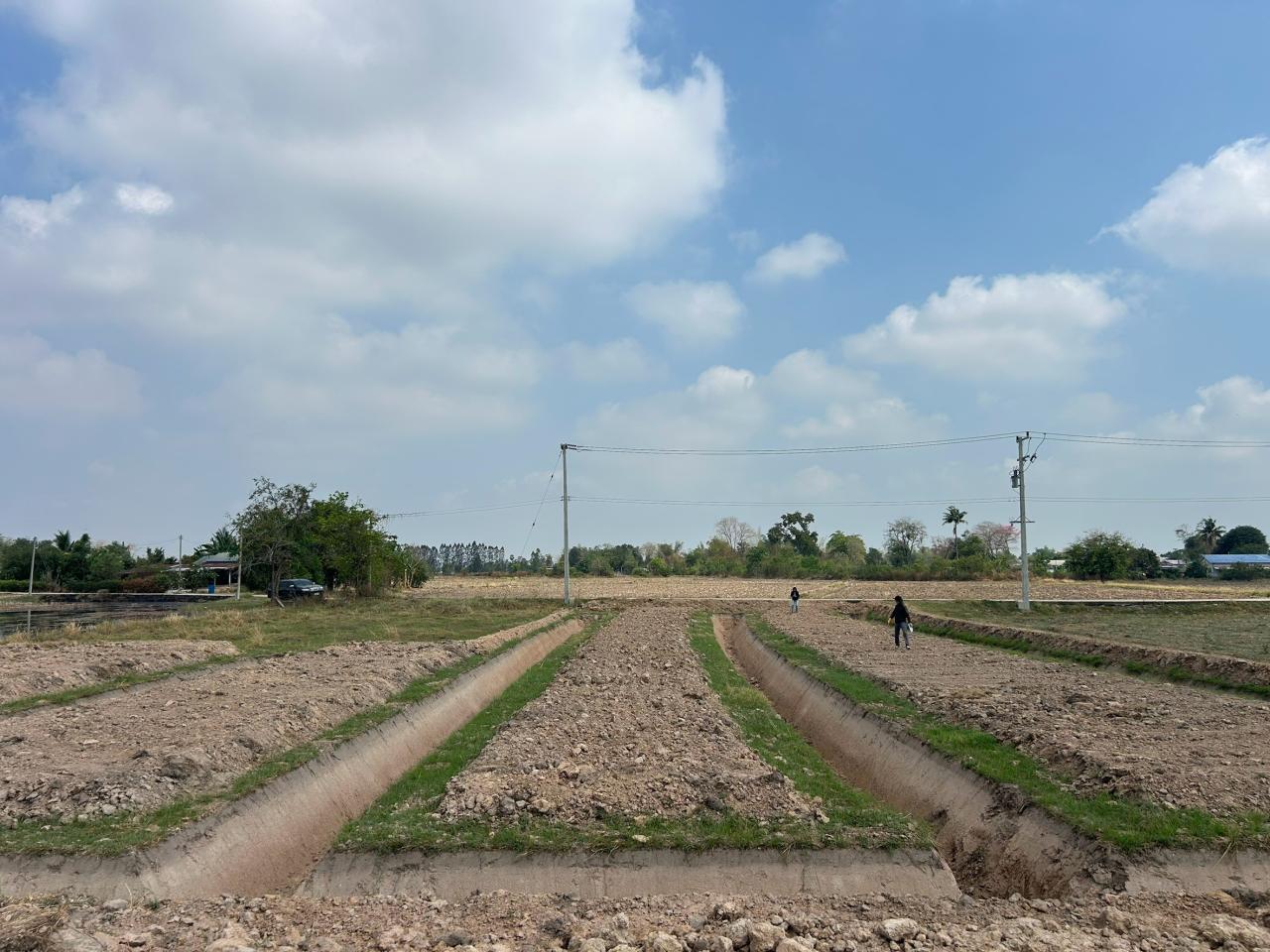 ภาพประกอบที่ 11