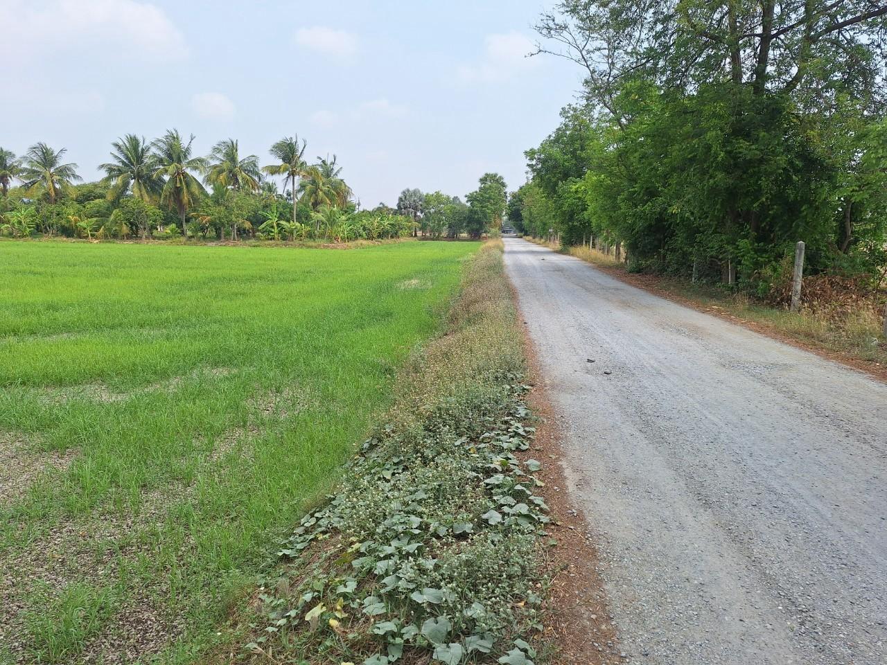 ภาพประกอบที่ 12