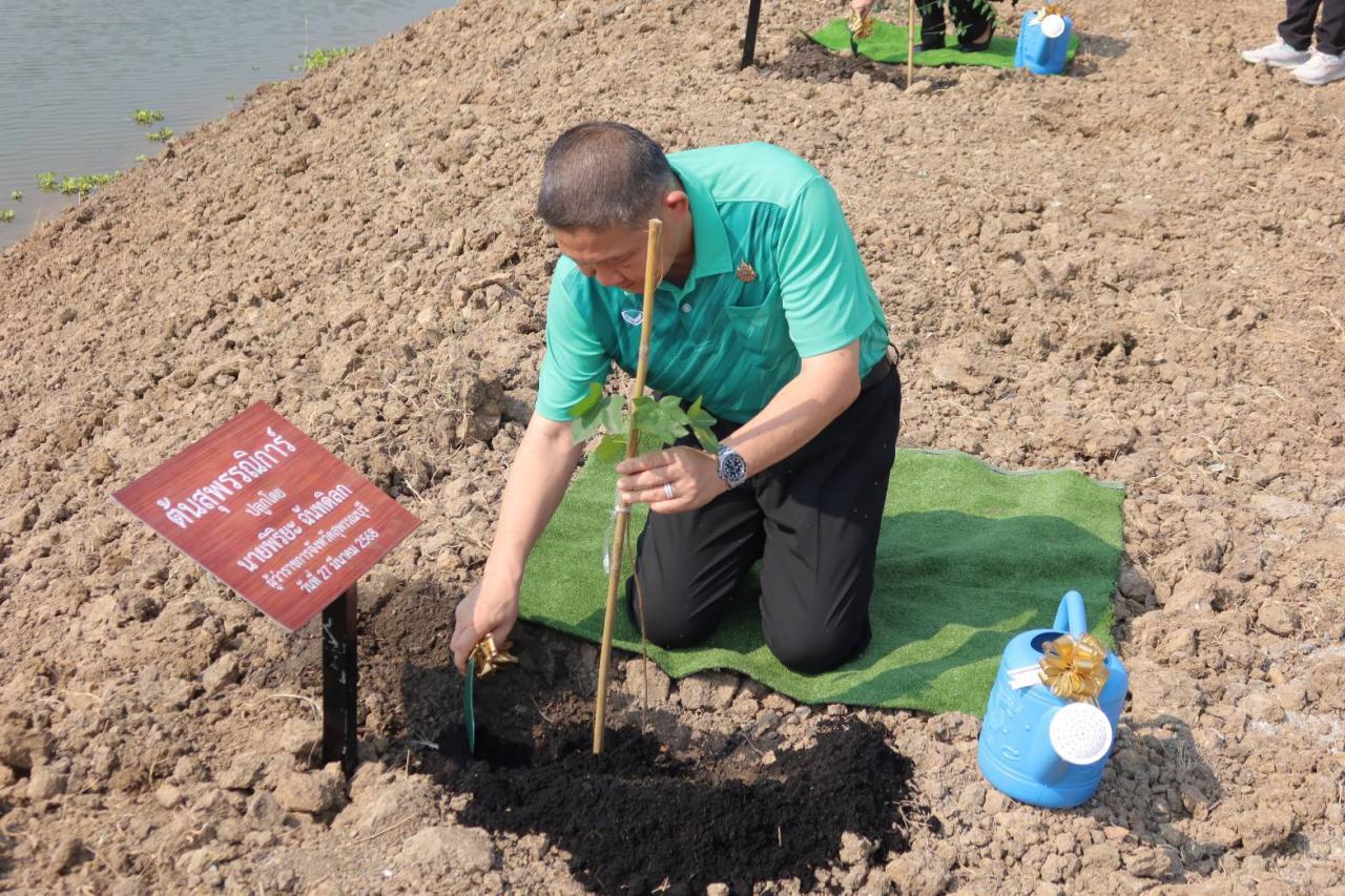 ภาพประกอบที่ 0