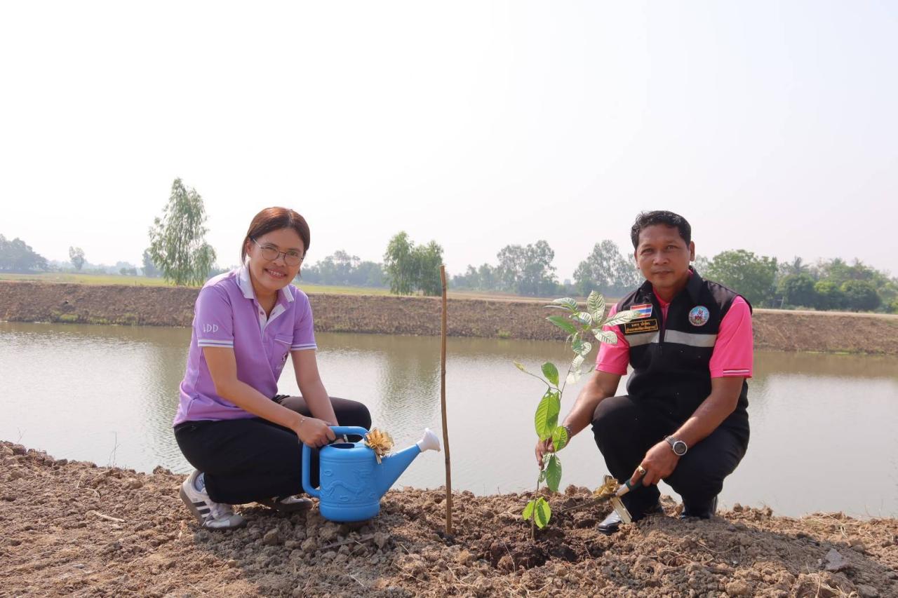 ภาพประกอบที่ 3