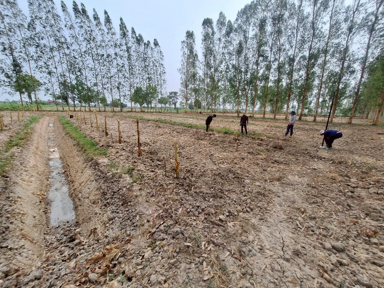 ภาพประกอบที่ 1