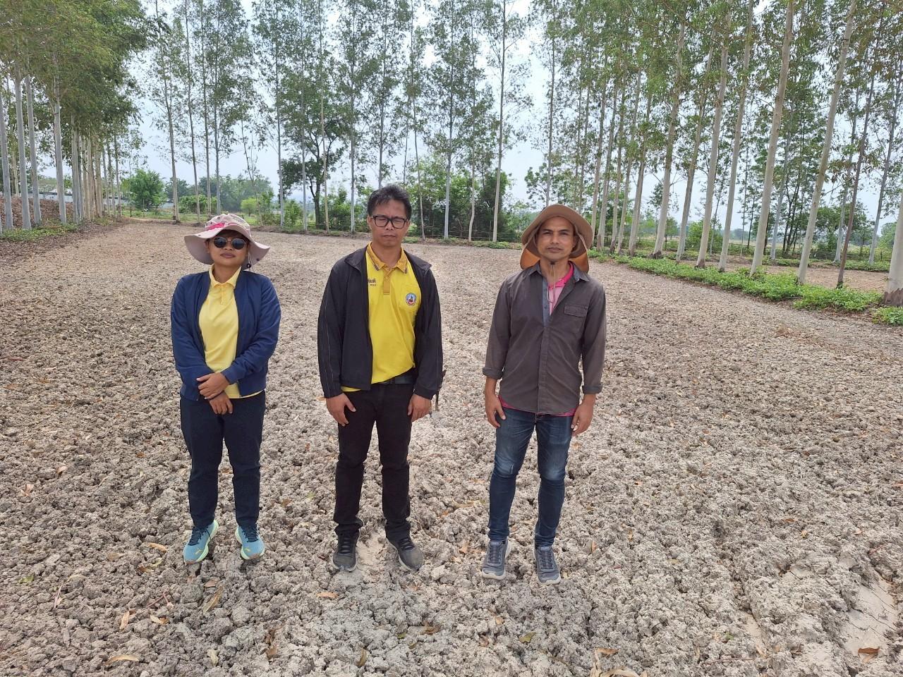 ภาพประกอบที่ 6