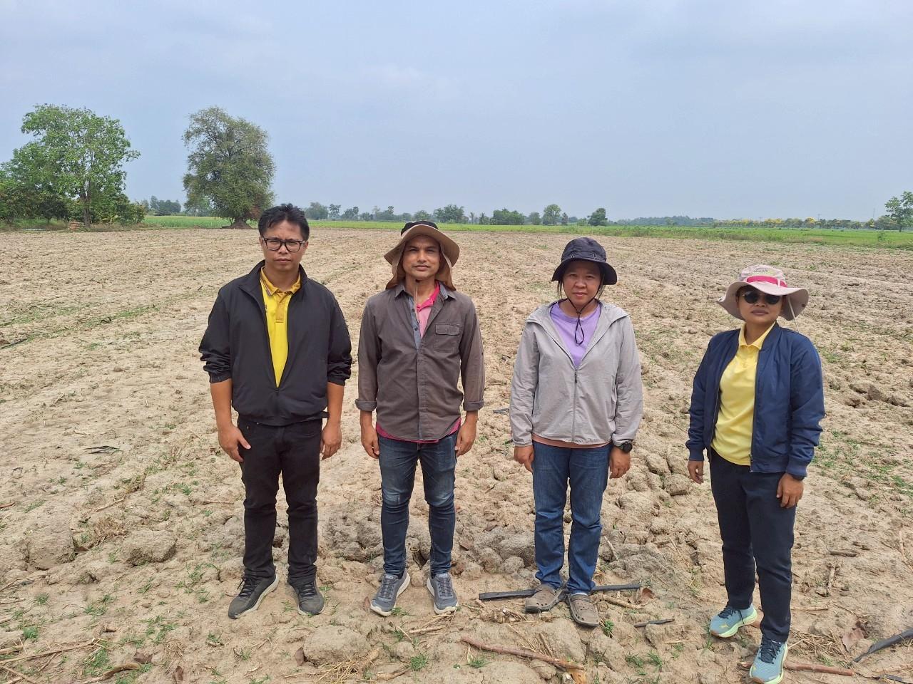 ภาพประกอบที่ 10