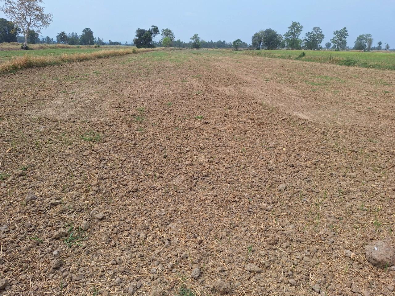 ภาพประกอบที่ 12