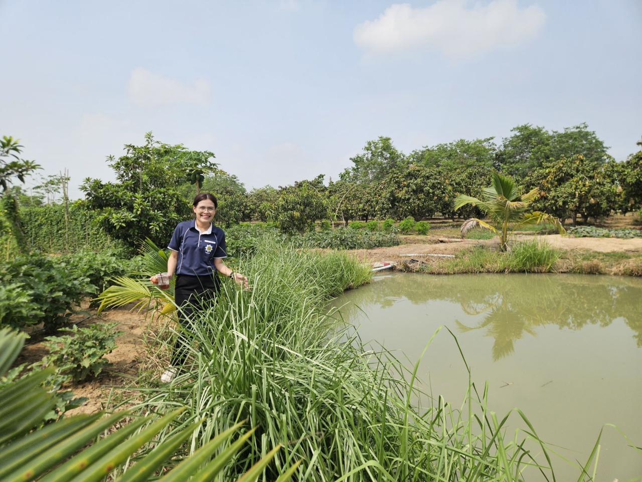 ภาพประกอบที่ 3