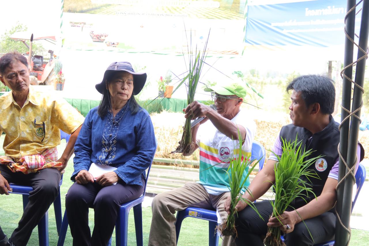 ภาพประกอบที่ 16