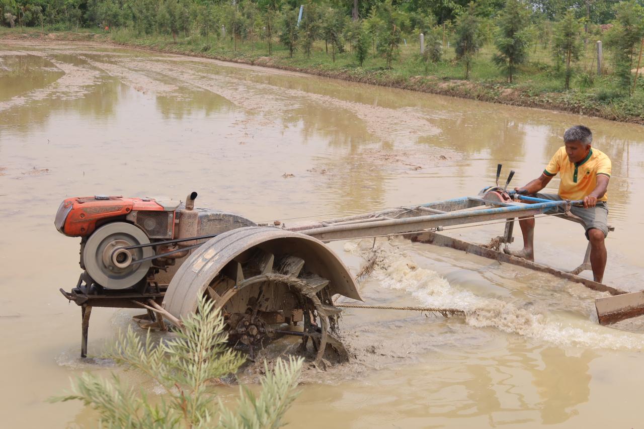 ภาพประกอบที่ 0