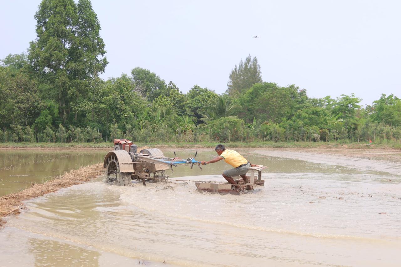 ภาพประกอบที่ 2