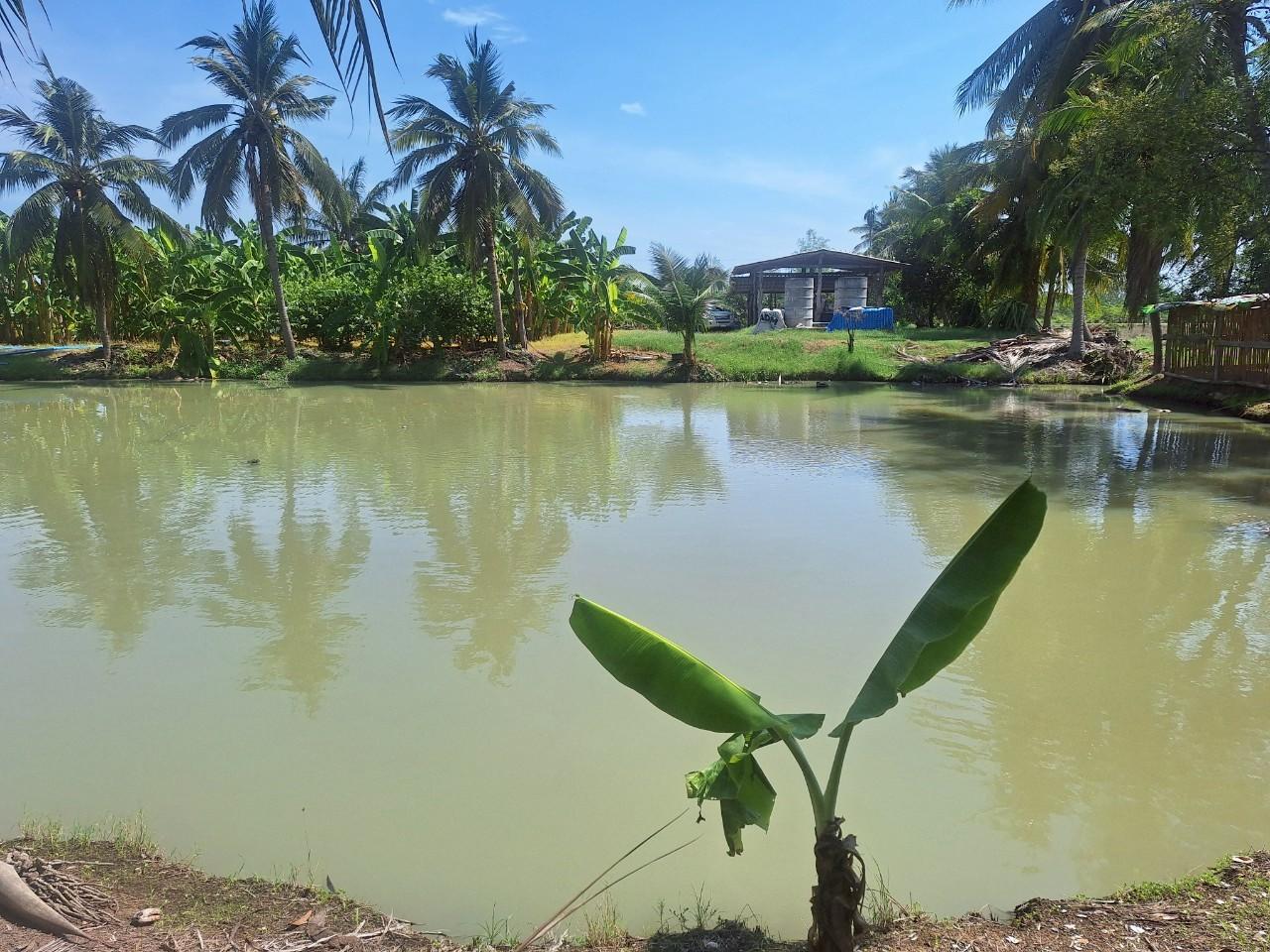 ภาพประกอบที่ 5