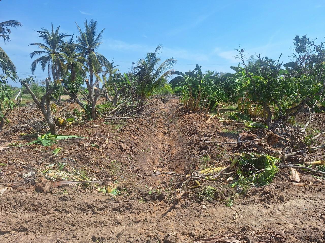 ภาพประกอบที่ 7