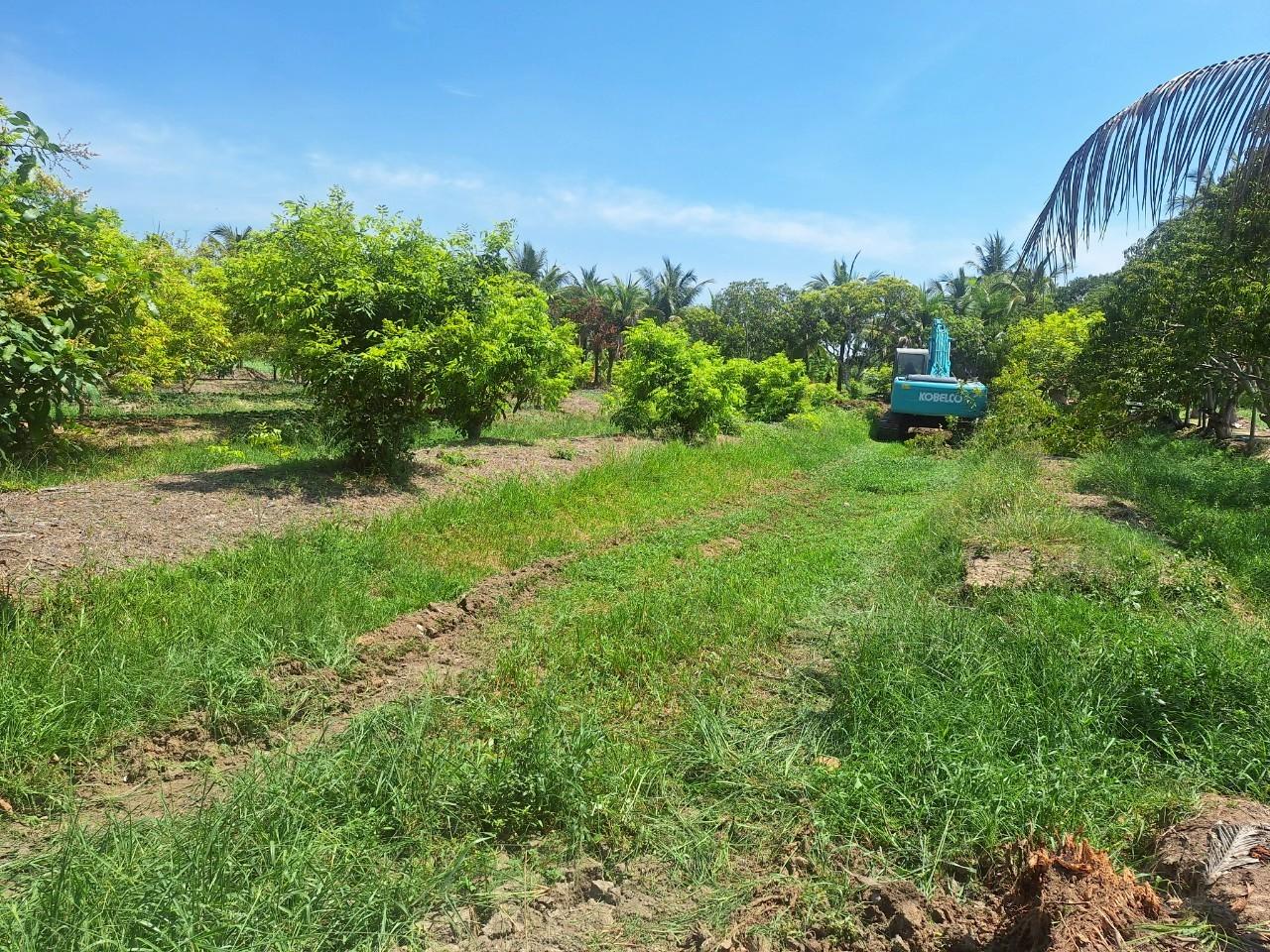 ภาพประกอบที่ 9