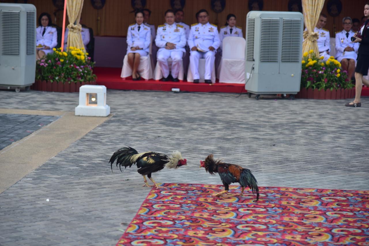 ภาพประกอบที่ 3