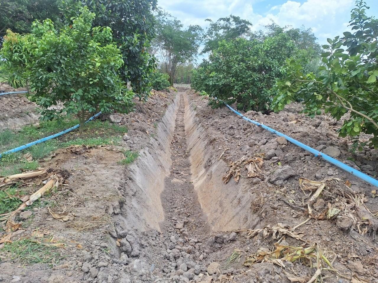 ภาพประกอบที่ 5