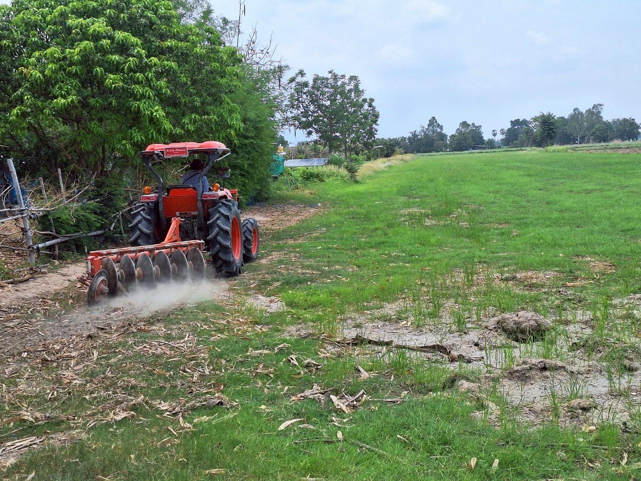 ภาพประกอบที่ 10