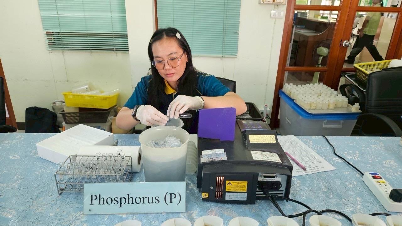 ภาพประกอบที่ 8