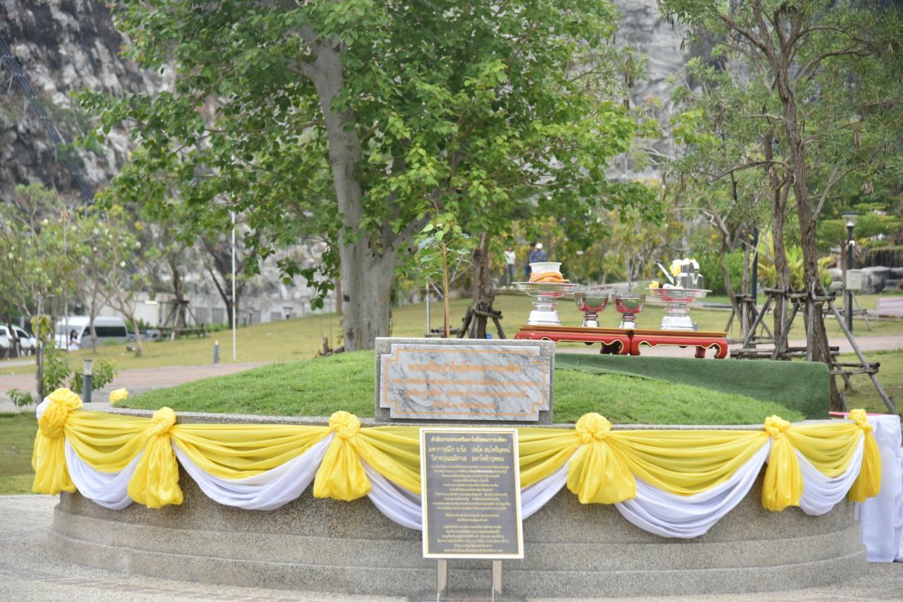 ภาพประกอบที่ 4