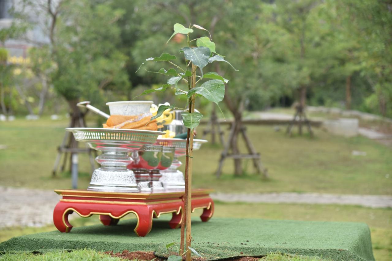 ภาพประกอบที่ 5