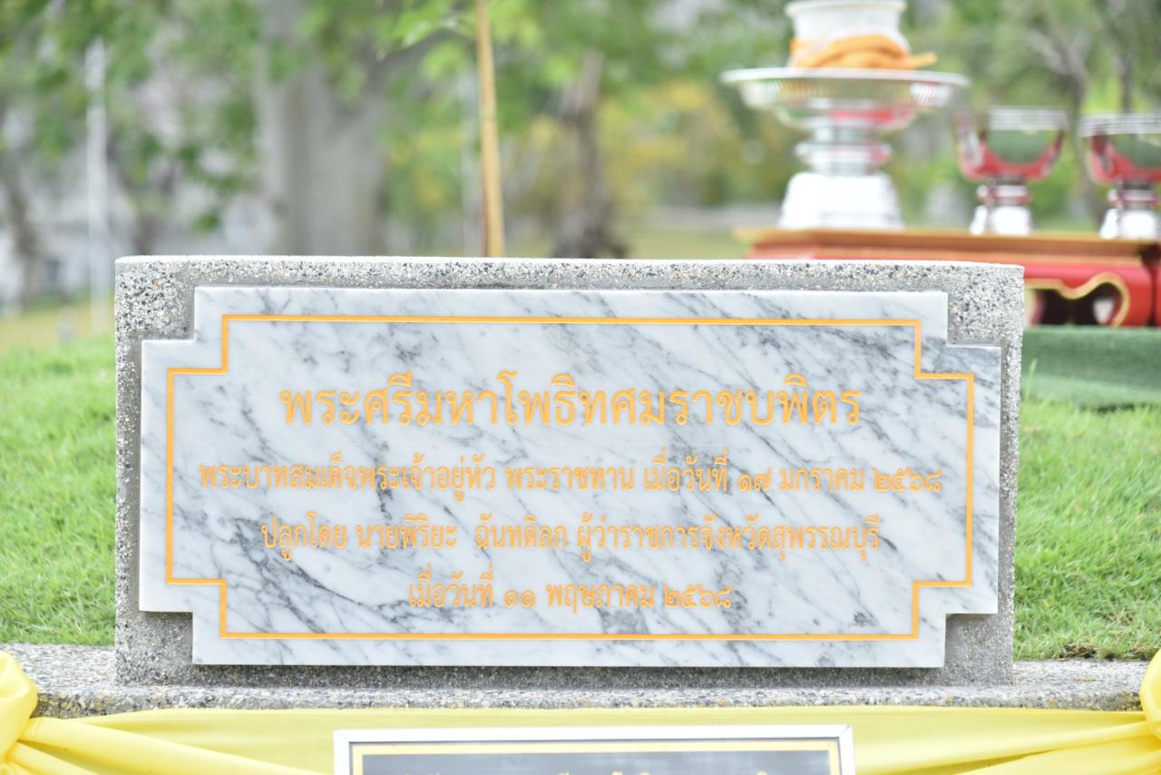 ภาพประกอบที่ 9