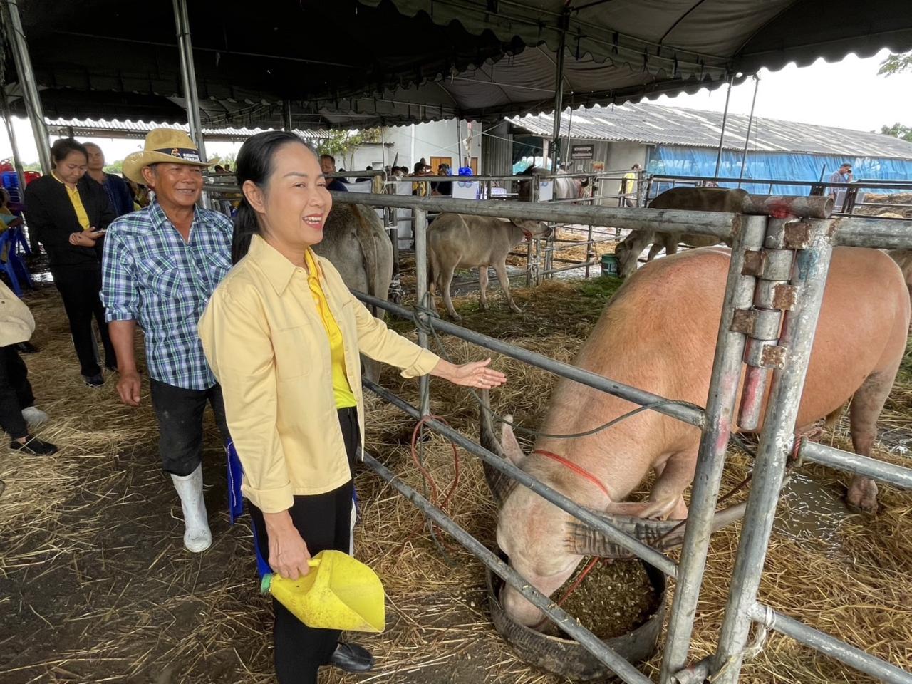 ภาพประกอบที่ 7