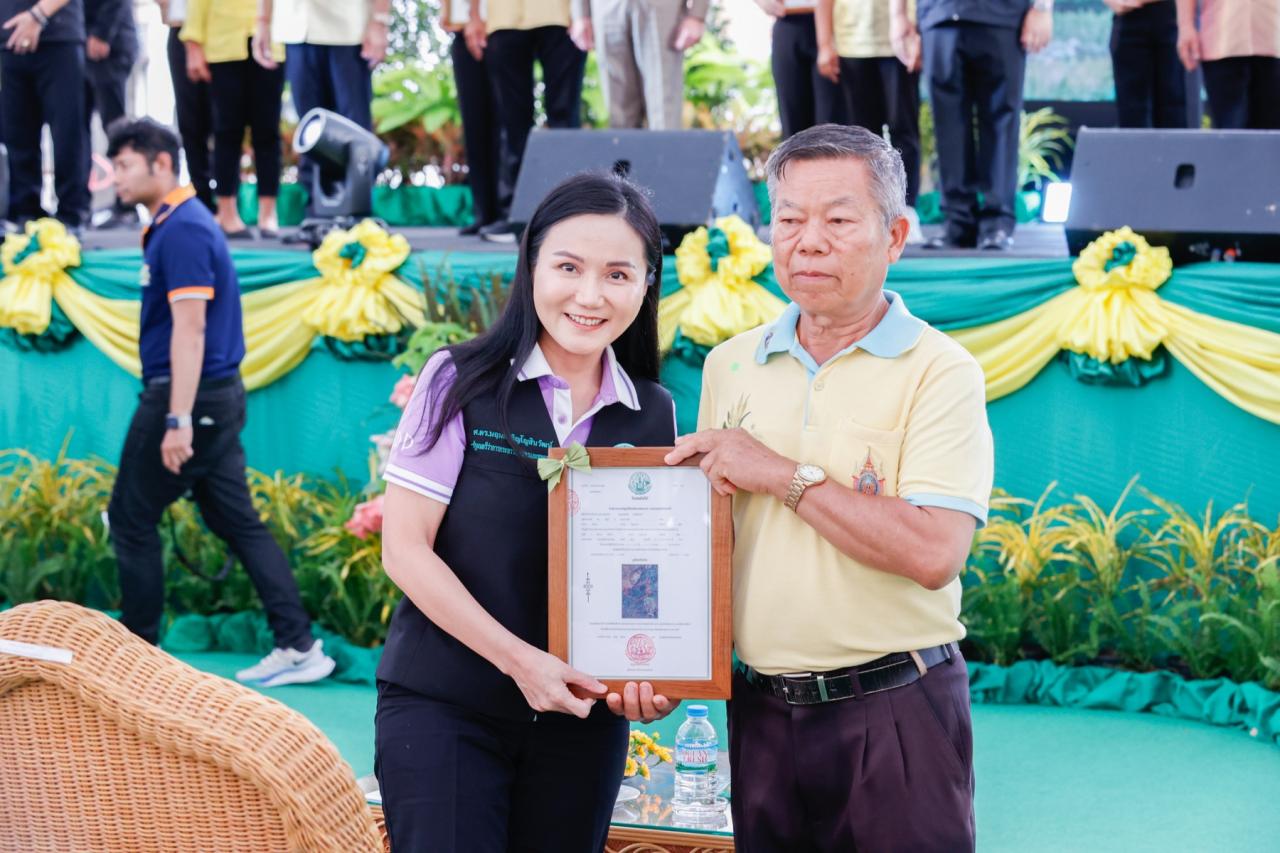 ภาพประกอบที่ 0