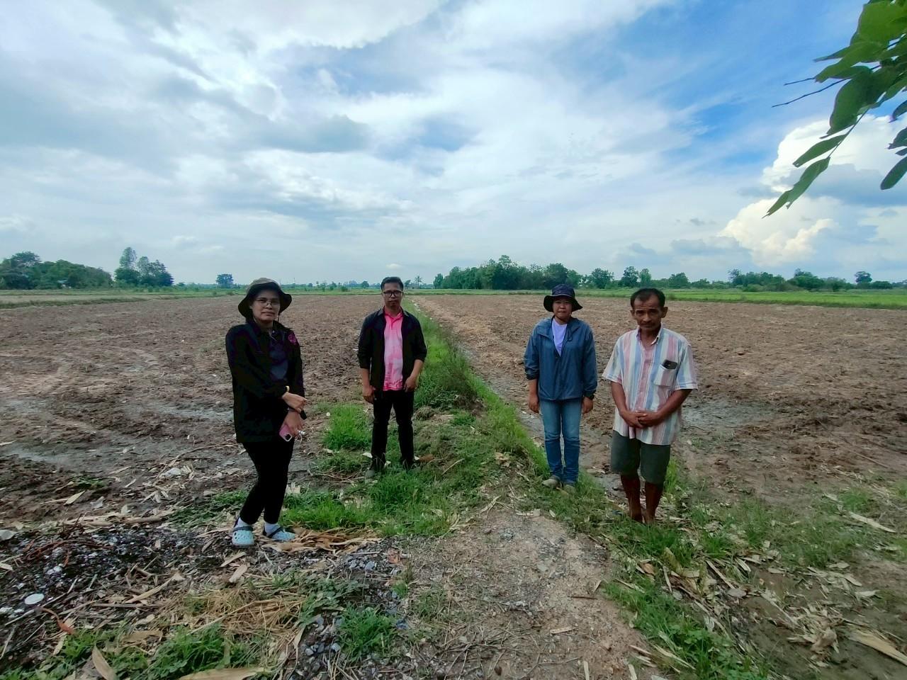 ภาพประกอบที่ 8