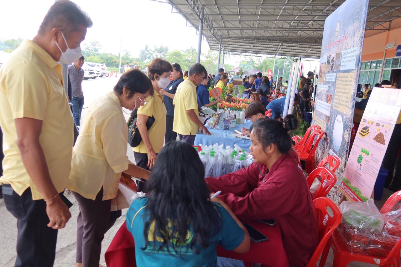 ภาพประกอบที่ 3