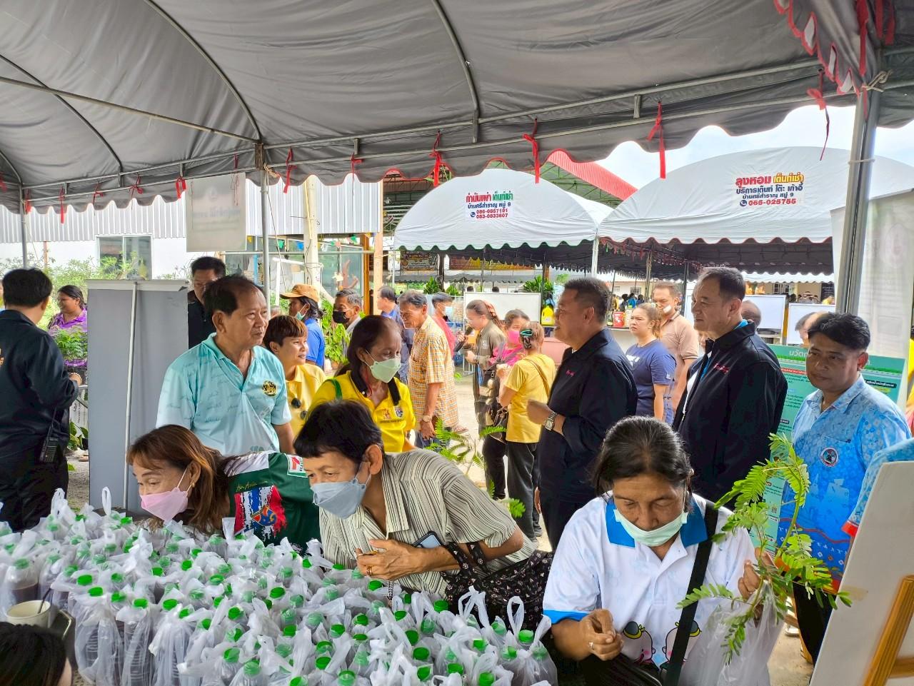 ภาพประกอบที่ 1