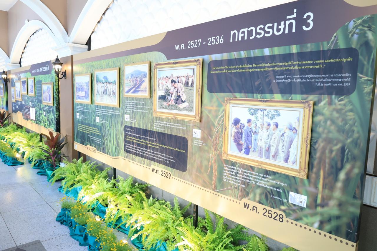 ภาพประกอบที่ 19