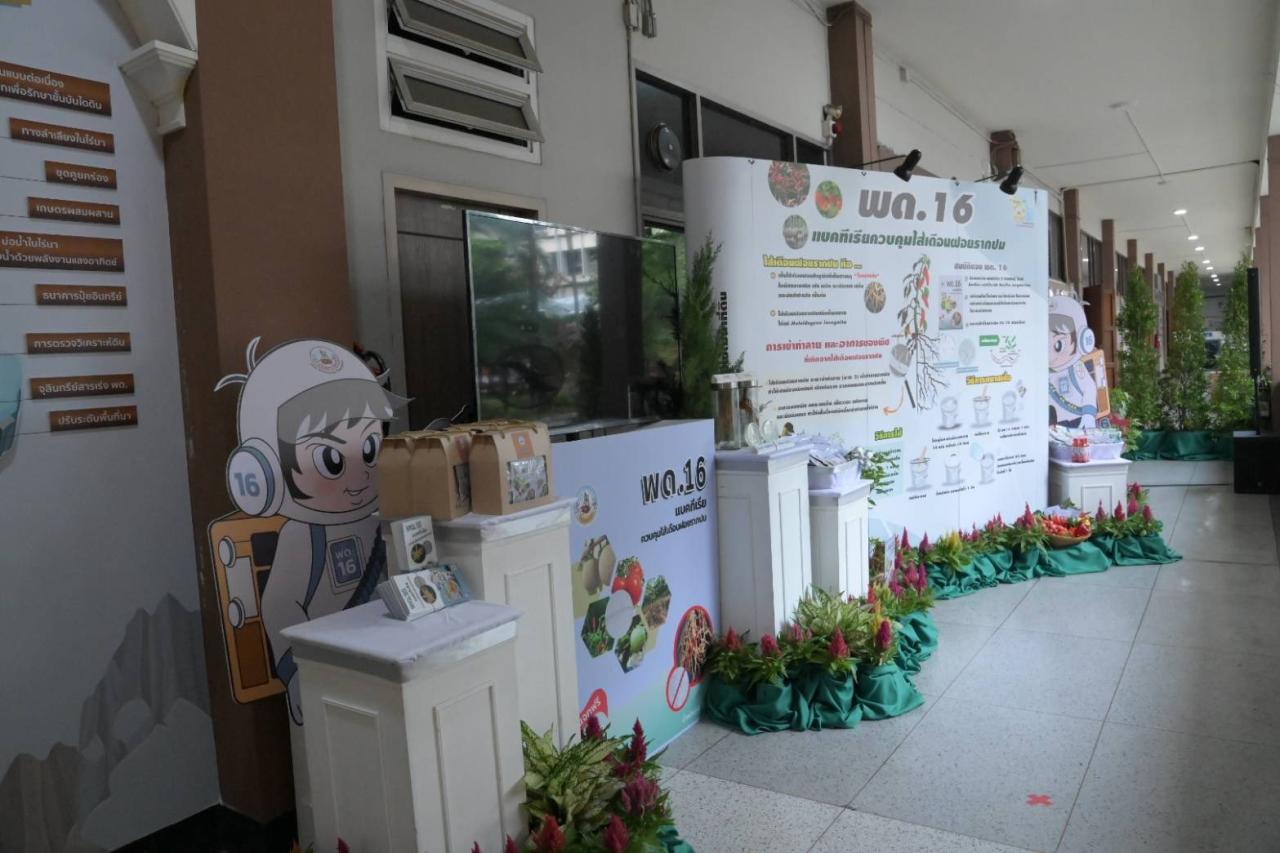 ภาพประกอบที่ 23