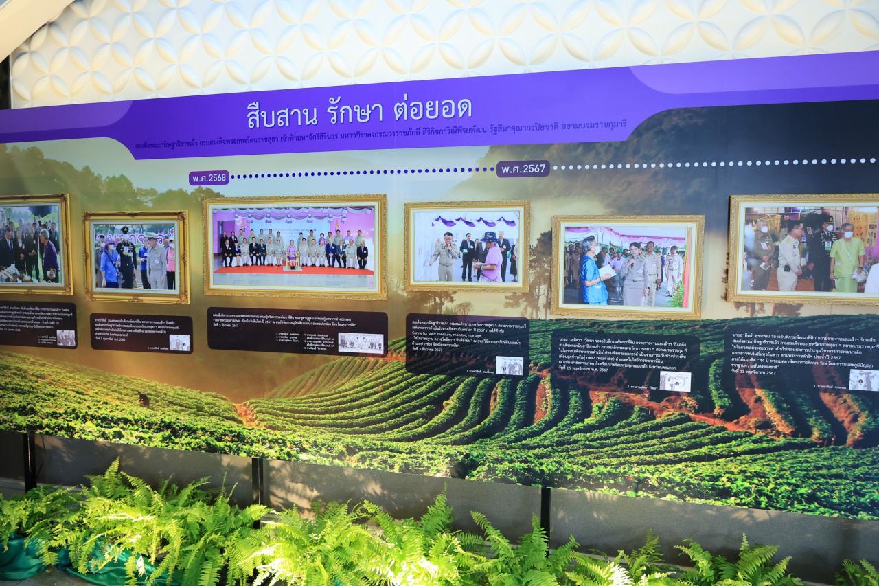 ภาพประกอบที่ 25