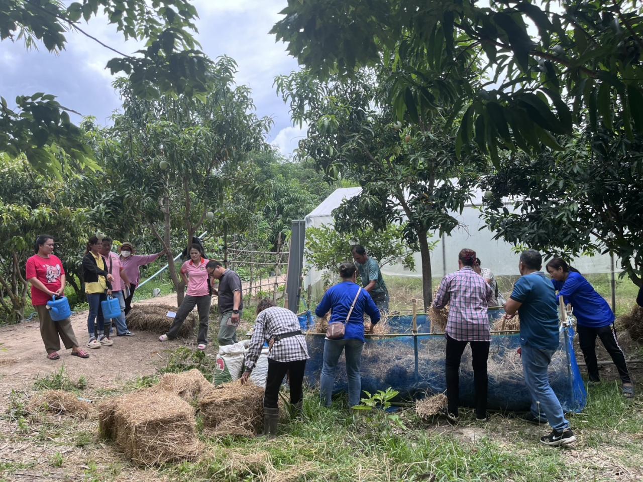 ภาพประกอบที่ 11